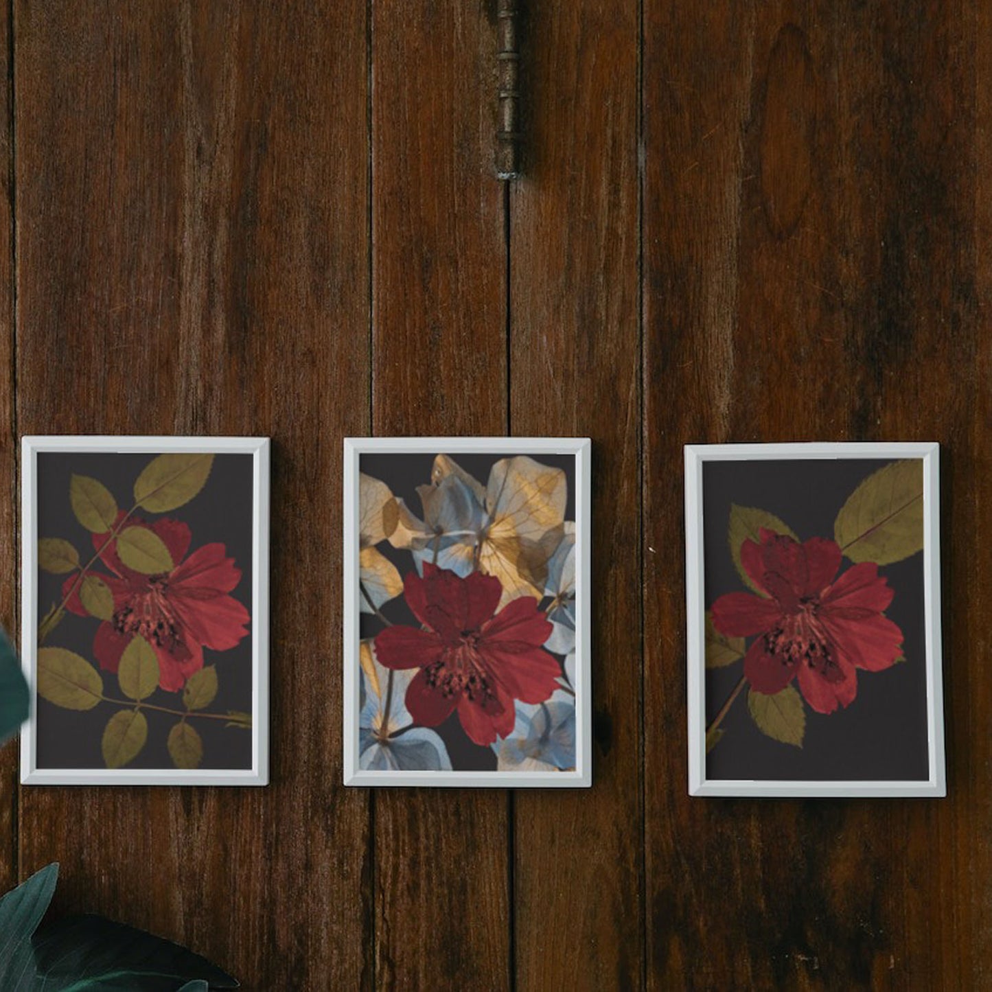 Digital Download Botanical Set Of 3 Classic Flowers Print For Poster Canvas